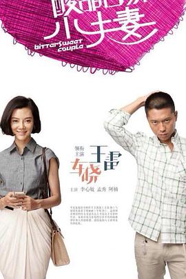 如何去优化十几个网站